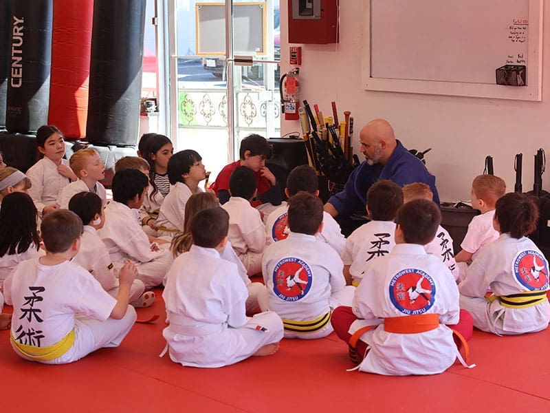 Happy kids in MetroWest learning martial arts, improving balance, coordination, and having fun while building life skills.